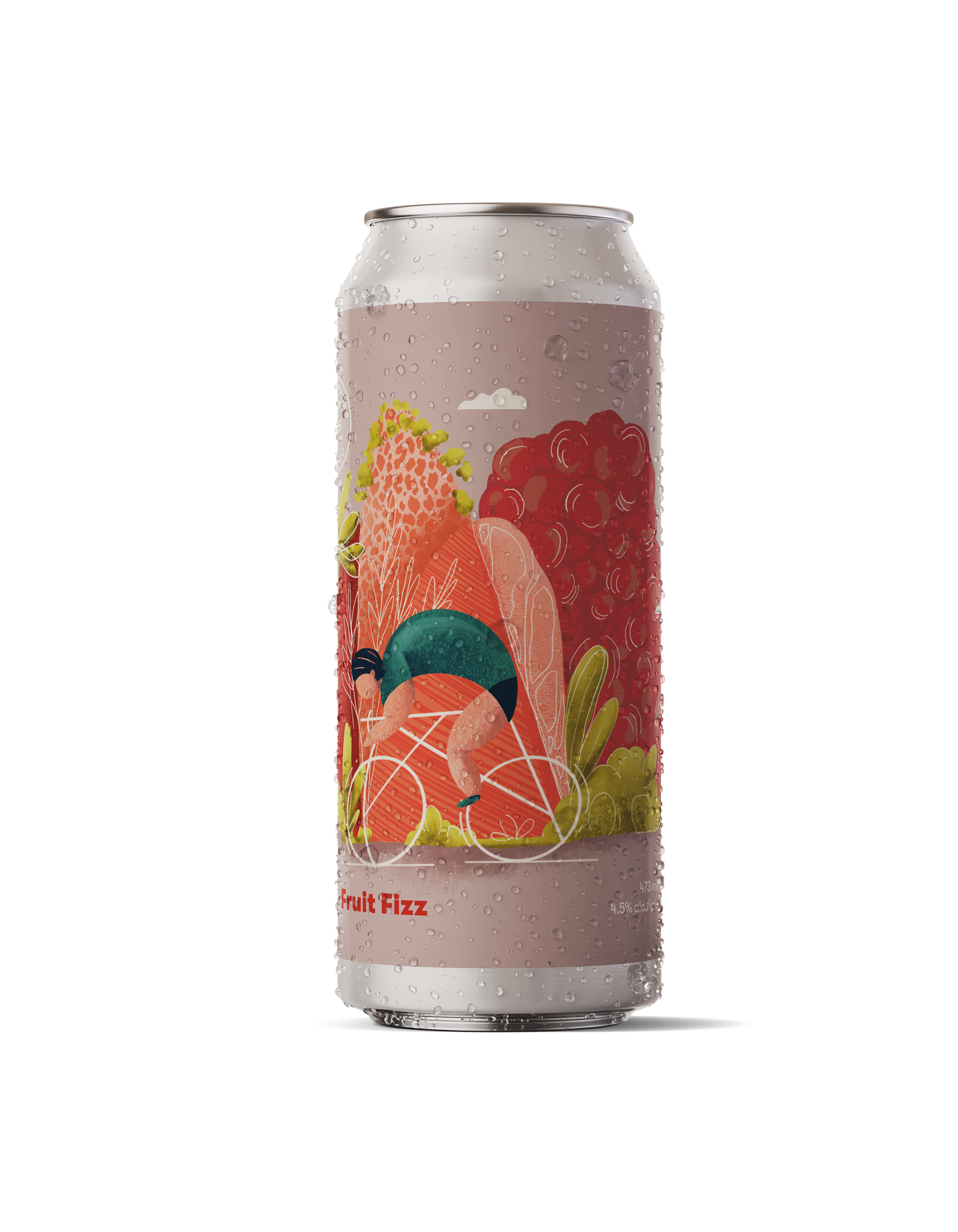 Front of Can Fruit Fizz Cider